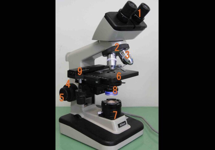 mikroskop optyczny